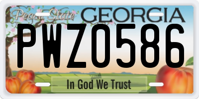 GA license plate PWZ0586