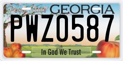 GA license plate PWZ0587