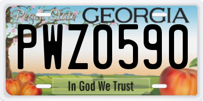 GA license plate PWZ0590