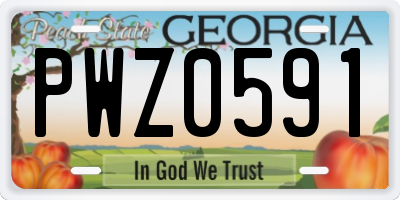GA license plate PWZ0591