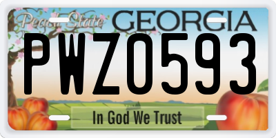 GA license plate PWZ0593