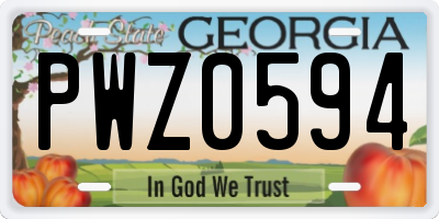 GA license plate PWZ0594