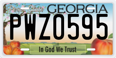 GA license plate PWZ0595
