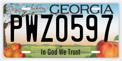 GA license plate PWZ0597