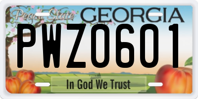 GA license plate PWZ0601