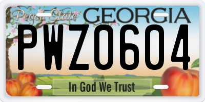 GA license plate PWZ0604