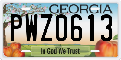 GA license plate PWZ0613
