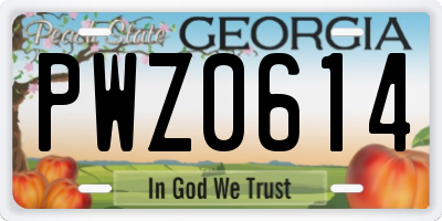 GA license plate PWZ0614