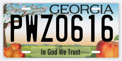 GA license plate PWZ0616