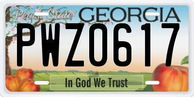 GA license plate PWZ0617