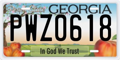 GA license plate PWZ0618