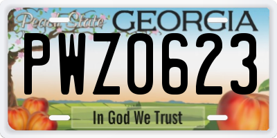 GA license plate PWZ0623