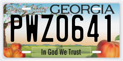 GA license plate PWZ0641