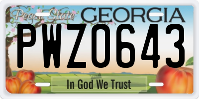 GA license plate PWZ0643