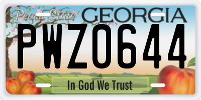 GA license plate PWZ0644
