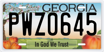GA license plate PWZ0645