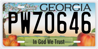 GA license plate PWZ0646