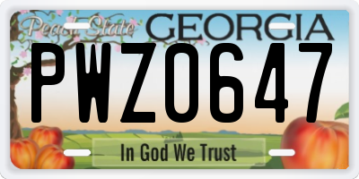 GA license plate PWZ0647