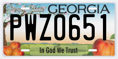GA license plate PWZ0651