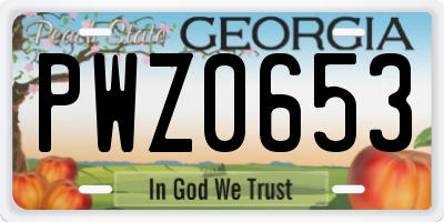 GA license plate PWZ0653