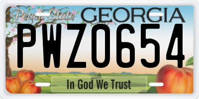 GA license plate PWZ0654