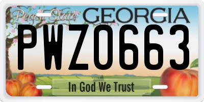 GA license plate PWZ0663