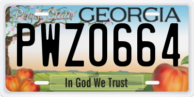 GA license plate PWZ0664