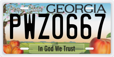 GA license plate PWZ0667