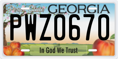 GA license plate PWZ0670
