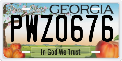 GA license plate PWZ0676