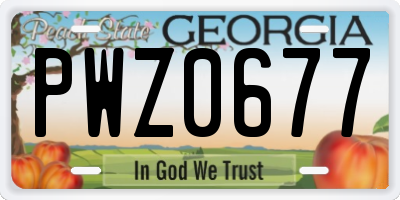 GA license plate PWZ0677
