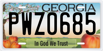 GA license plate PWZ0685