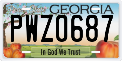 GA license plate PWZ0687
