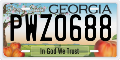 GA license plate PWZ0688
