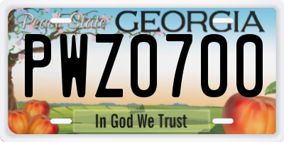 GA license plate PWZ0700