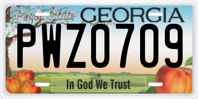 GA license plate PWZ0709
