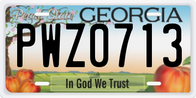 GA license plate PWZ0713