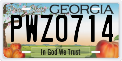 GA license plate PWZ0714