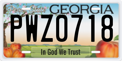 GA license plate PWZ0718