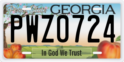 GA license plate PWZ0724