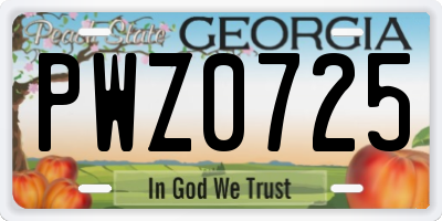 GA license plate PWZ0725