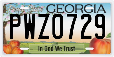 GA license plate PWZ0729
