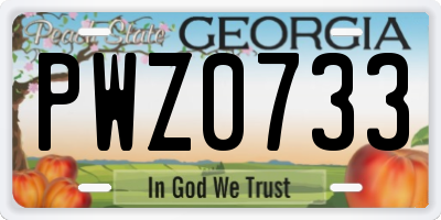 GA license plate PWZ0733