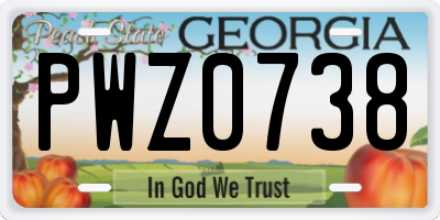 GA license plate PWZ0738
