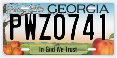 GA license plate PWZ0741