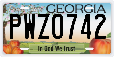 GA license plate PWZ0742