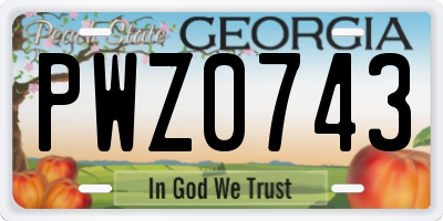 GA license plate PWZ0743