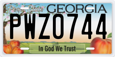 GA license plate PWZ0744