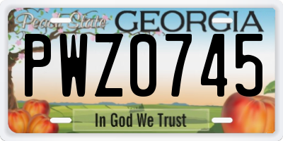 GA license plate PWZ0745