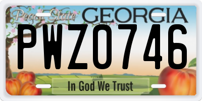 GA license plate PWZ0746
